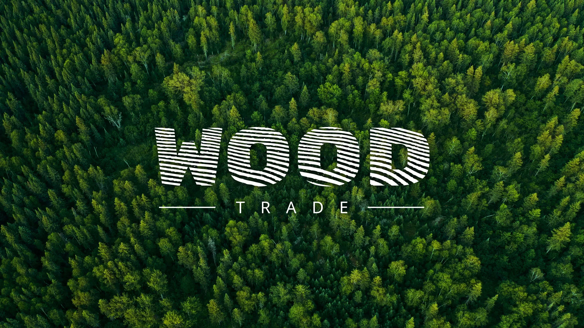 Разработка интернет-магазина компании «Wood Trade» в Партизанске