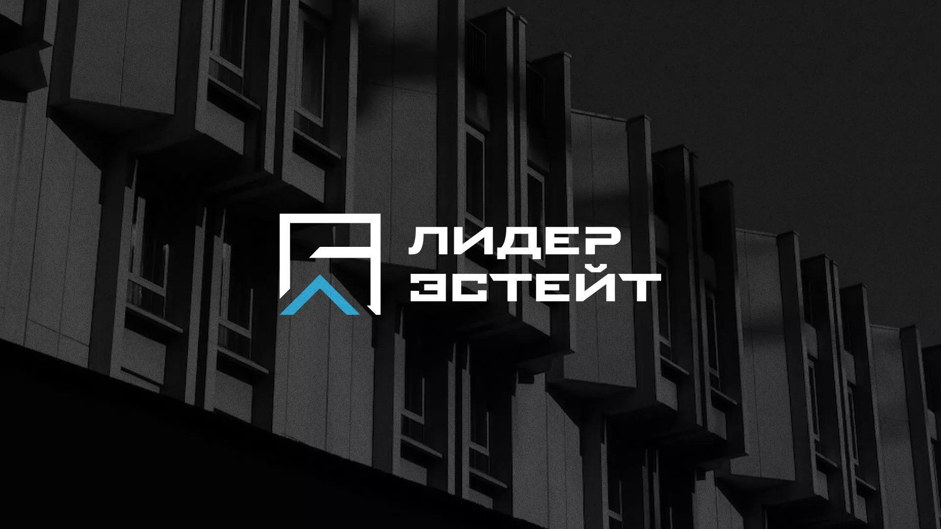 Разработка логотипа агентства недвижимости «Лидер Эстейт» в Партизанске